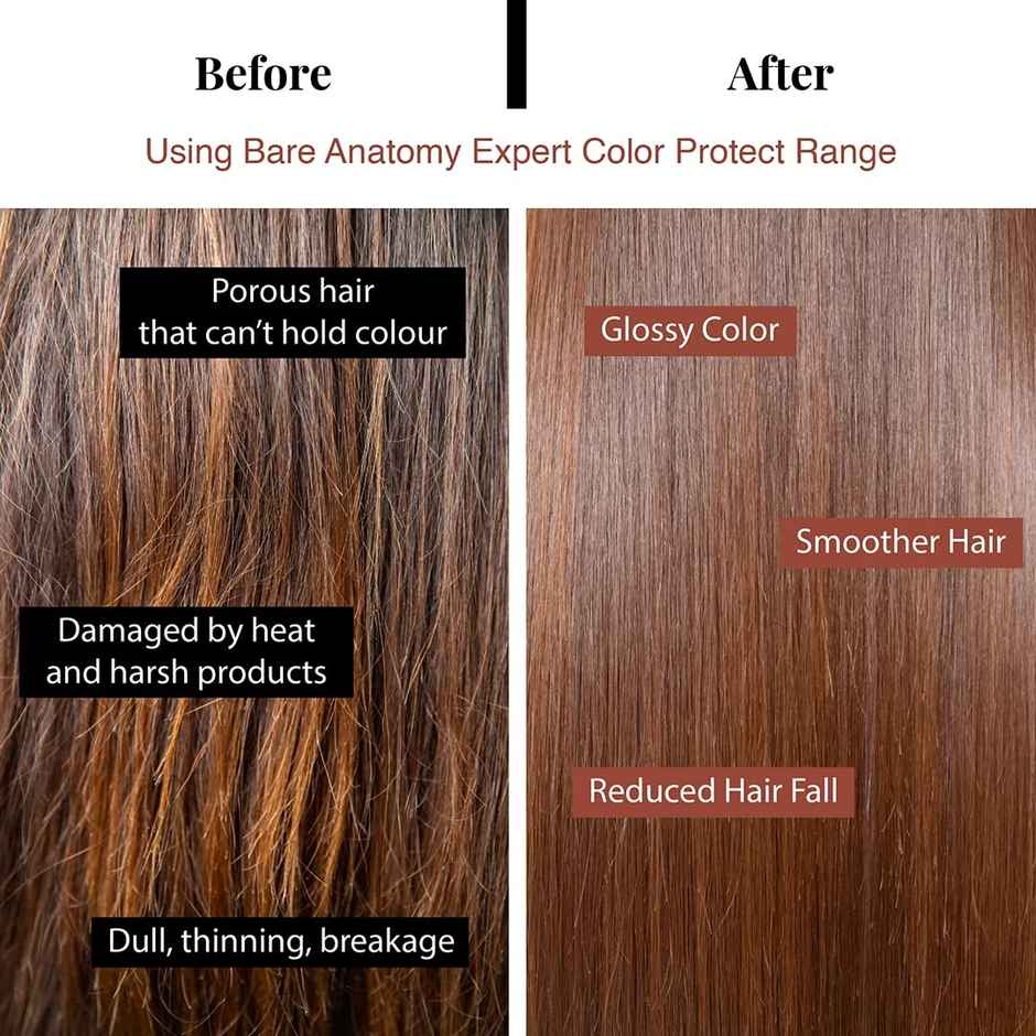 Bare Anatomy Hair Color Protect Shampoo, Hair Colour Retention Shampoo For Dry & Frizzy Hair