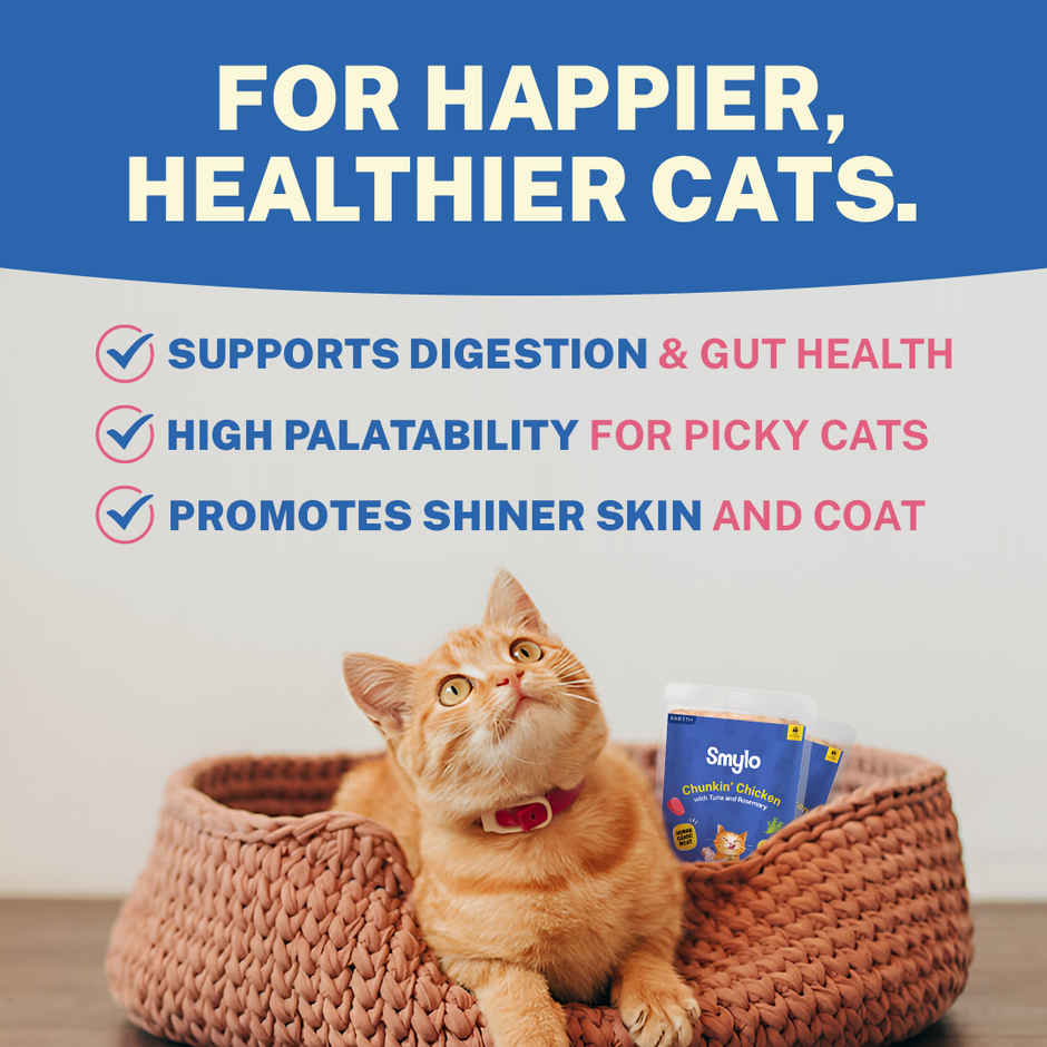 Smylo Adult Chicken & Tuna Wet Cat Food, Fresh & Preservative-Free