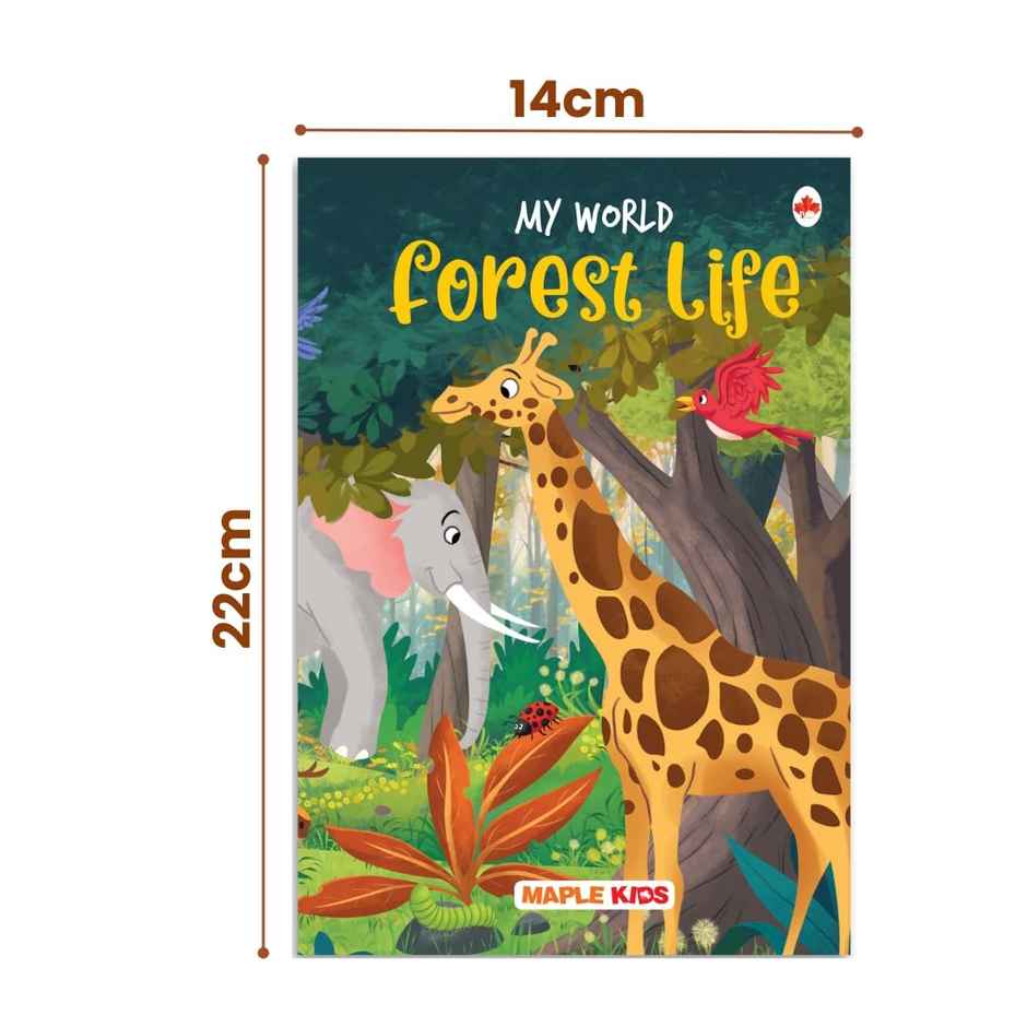 My World (Set of 10 Books) - Science Knowledge Books for Kids