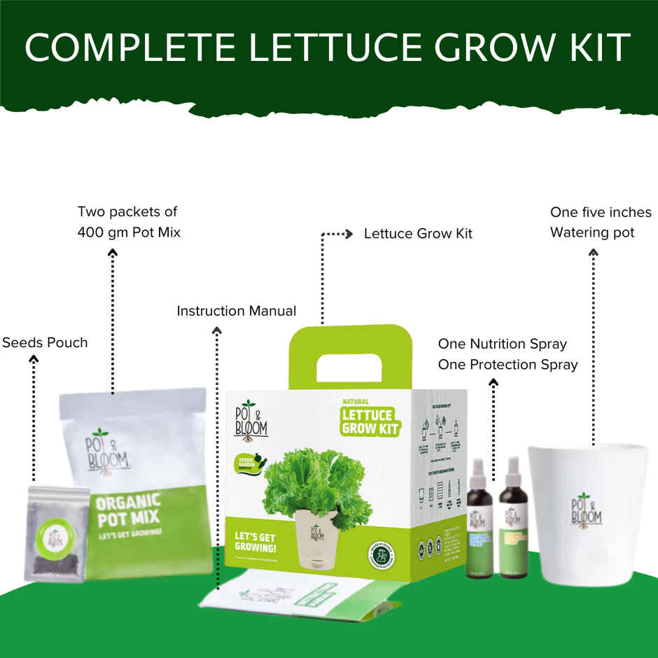 Pot And Bloom Lettuce Kit