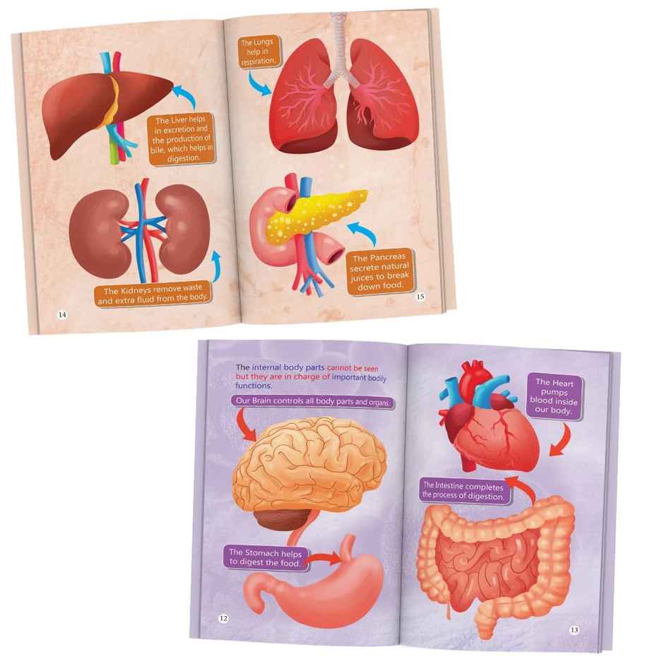 My World (Set of 10 Books) - Science Knowledge Books for Kids