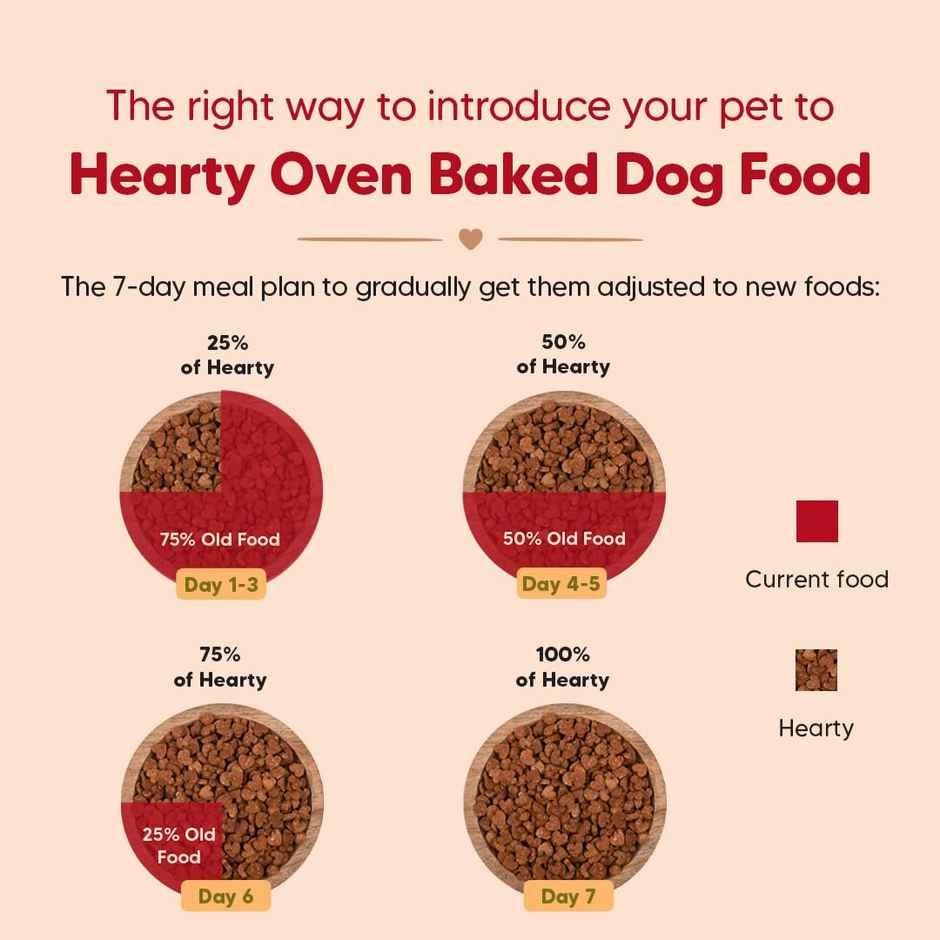 Hearty Oven-Baked Dry Food For Adult Dogs With Chicken, Duck & Brown Rice - All Breed