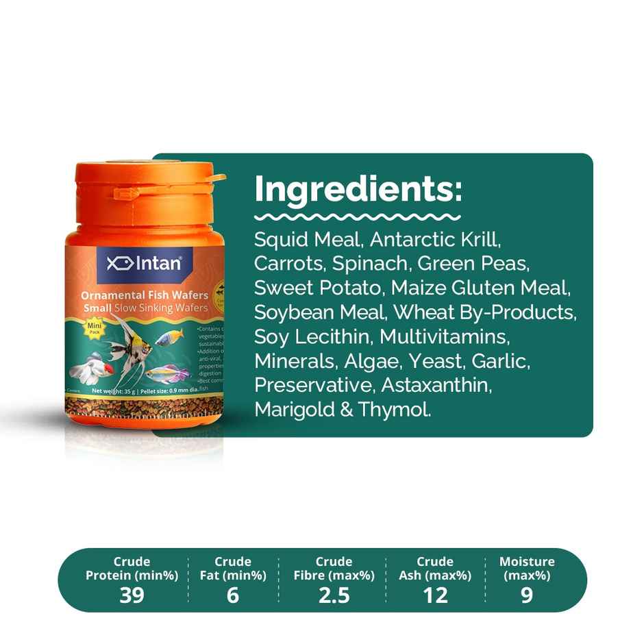 Intan Ornamental Fish Wafers - Fish FOOD for Angels | Gouramis | Goldfish | Barbs | Rainbows