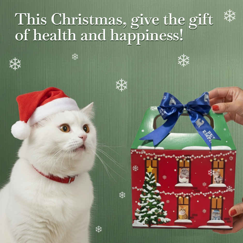 Moochie Cat Wet Food Christmas Hamper | 13 Pouches