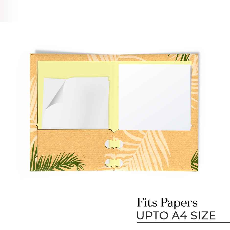 Paperkraft Folder | Assorted 310 x 225 Soft - 2270001 | Pack of 4