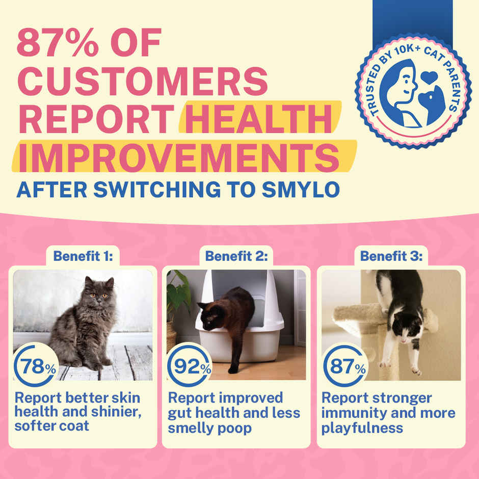Smylo Adult Mackerel Wet Cat Food | Fresh & Preservative-free
