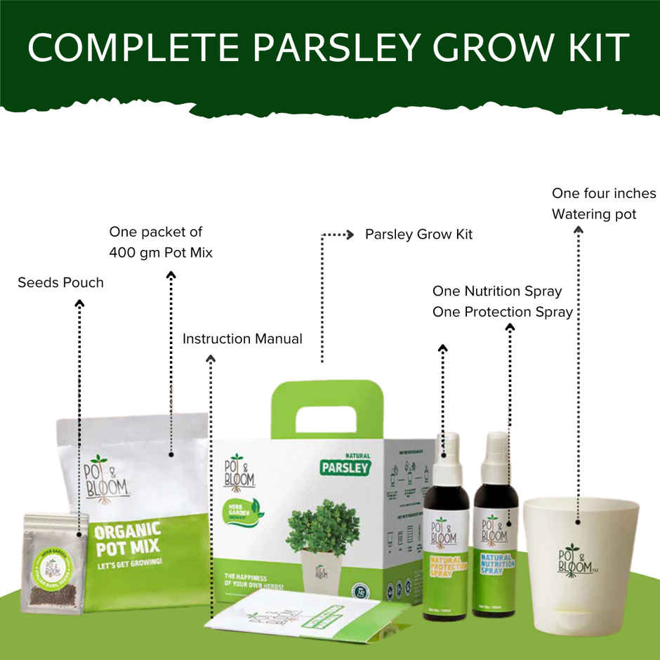 Pot And Bloom Parsley Kit