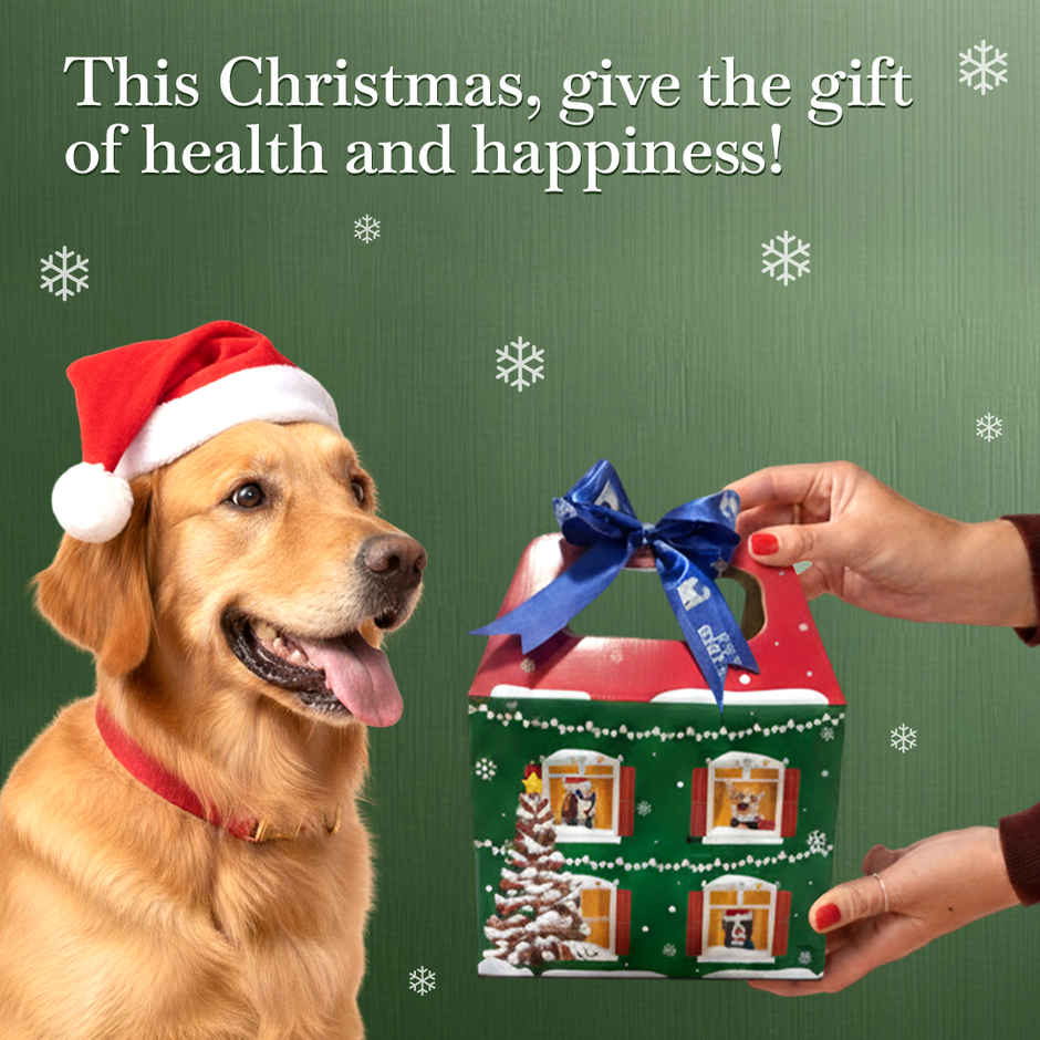 Moochie Dog Wet Food Christmas Hamper | 13 Pouches