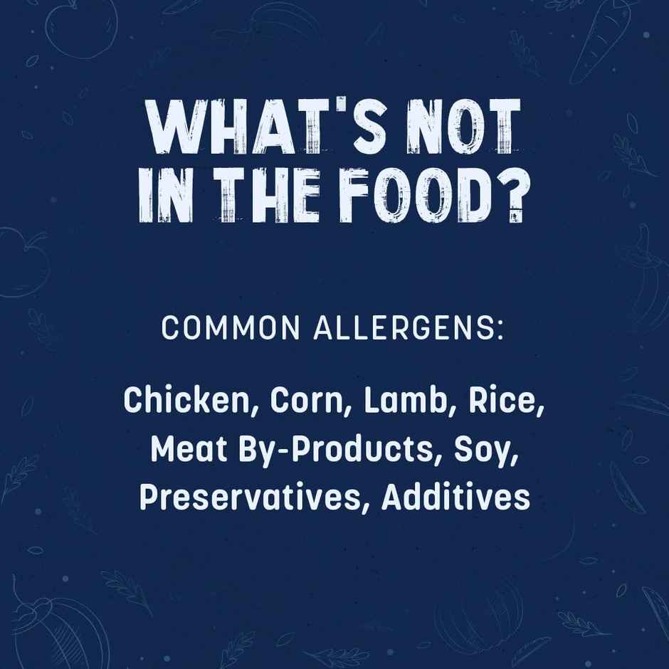 HUFT Sara's Wholesome Hypoallergenic Diet Duck & Quinoa Dog Wet Food