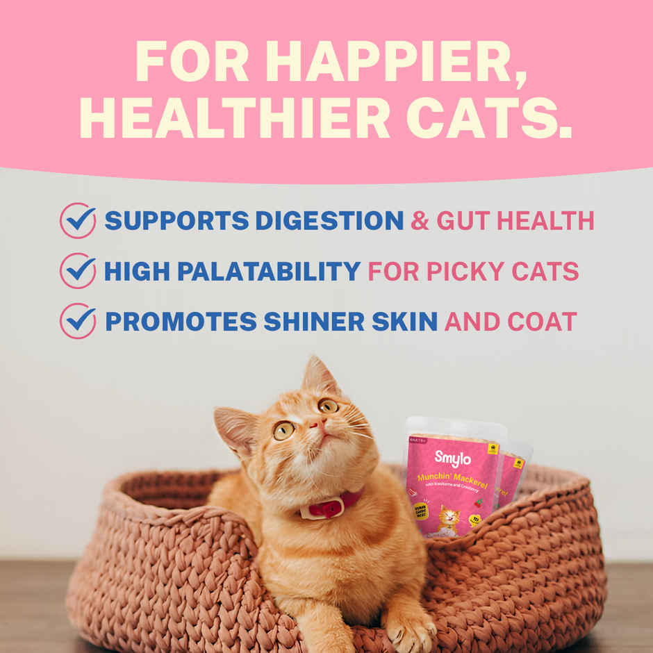 Smylo Adult Mackerel Wet Cat Food | Fresh & Preservative-free