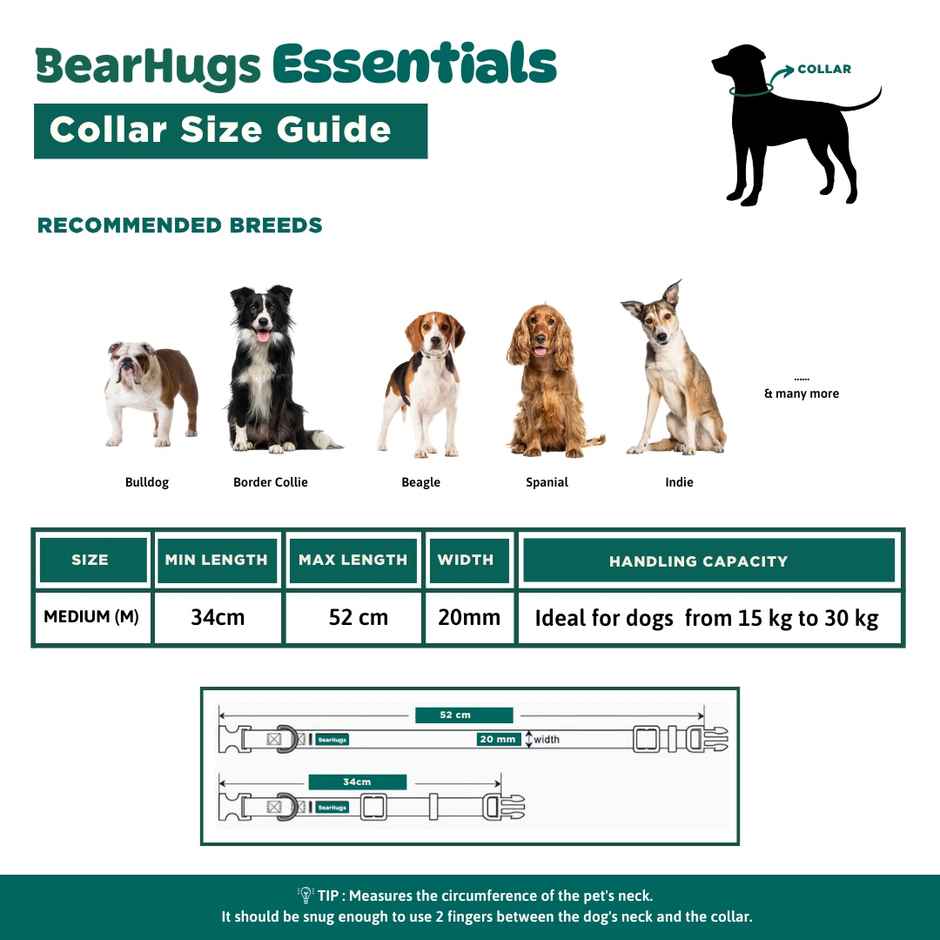 BearHugs Essential Collar | Padded with Lock - Medium