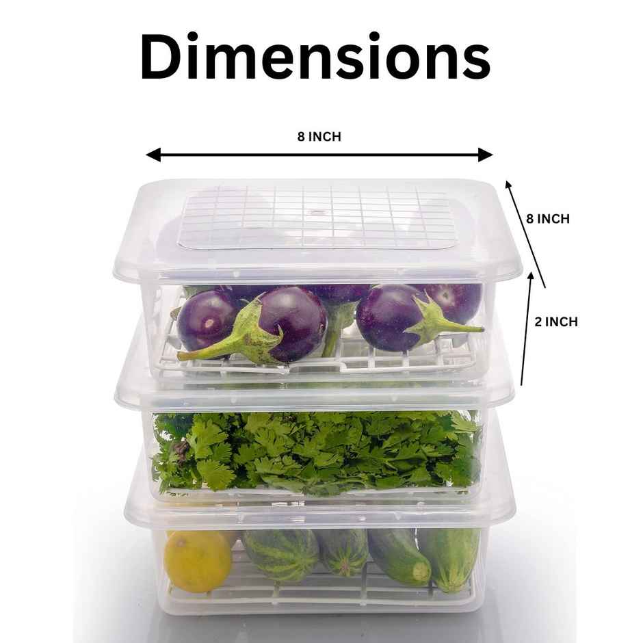 ReeQ Fridge Storage Box Large Vegetable and Fruit Organizer with Lid - 2 L