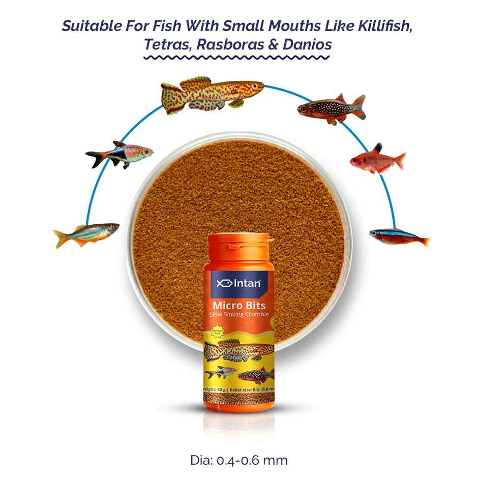 Intan Micro Bits - Fish FOOD for small mouths - Killifish | Tetras |Rasboras |Danios - Slow Sinking