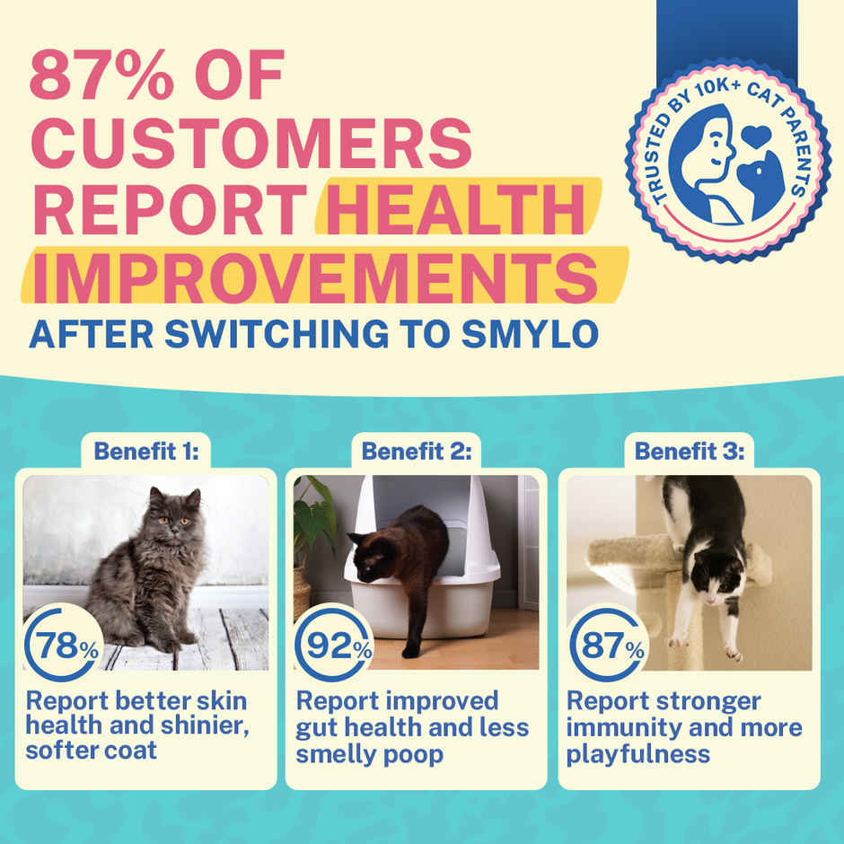 Smylo Kitten Tuna & Salmon Wet Cat Food, Fresh & Preservative-Free