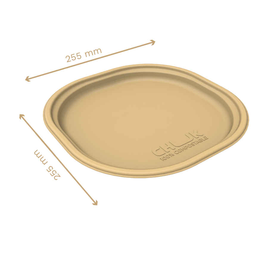 Chuk Eco-friendly Disposable Plate 10 inch
