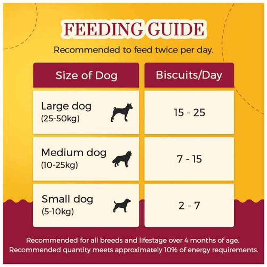 Dogsee Gigabites Cookies Apple & Peanut