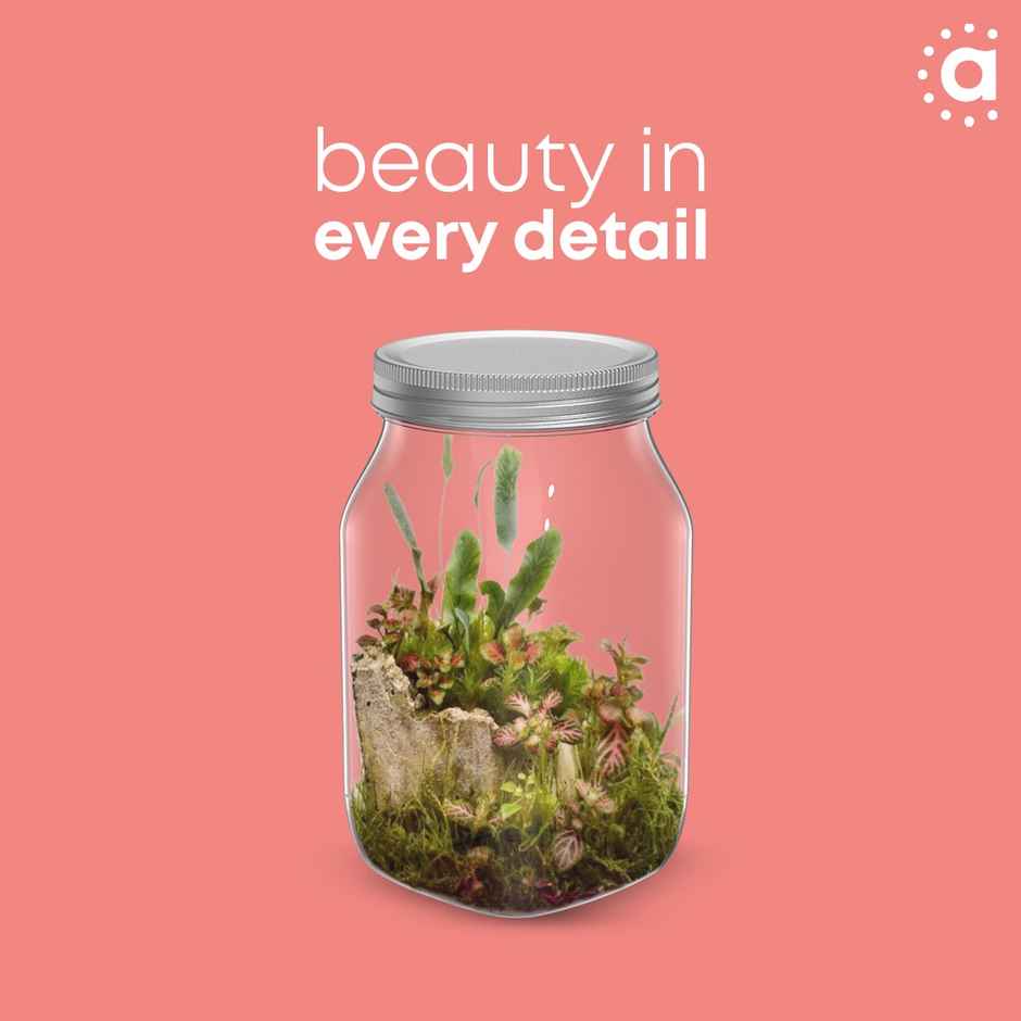 All Time Crystal Storage Jar (960 Ml X 2) (1920 Ml), Transparent