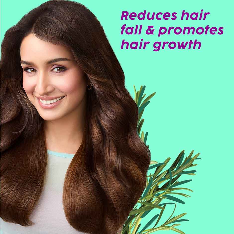 Plix The Plant Fix Rosemary Anti Hairfall Regime Combo - Shampoo & Conditioner