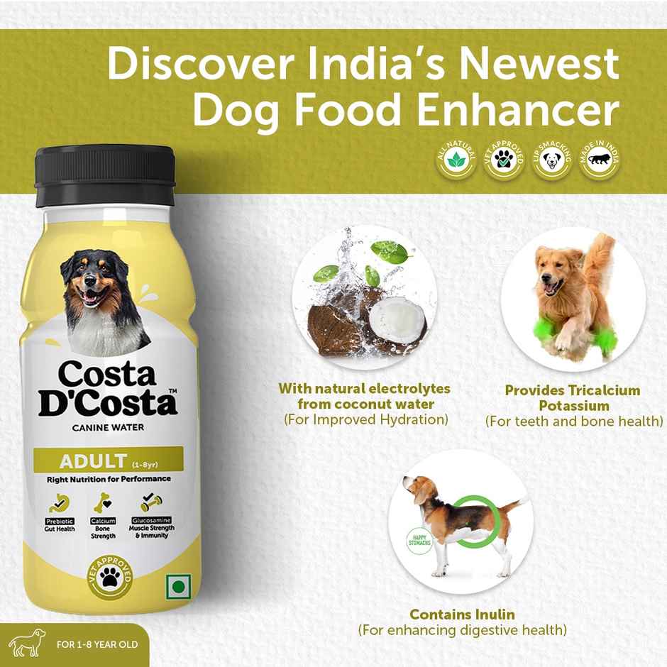 Costa D'Costa Nutrient-Infused Drink For Dogs | Age Group - 1 to 8 years