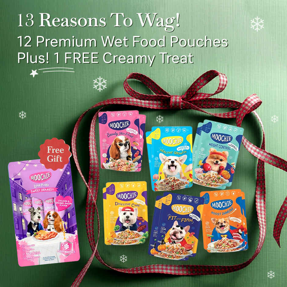 Moochie Dog Wet Food Christmas Hamper | 13 Pouches