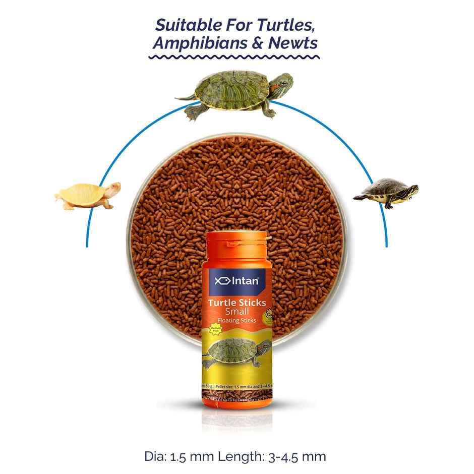 Intan Turtle Sticks - FOOD for Turtles | Amphibians | Newts - Small Floating