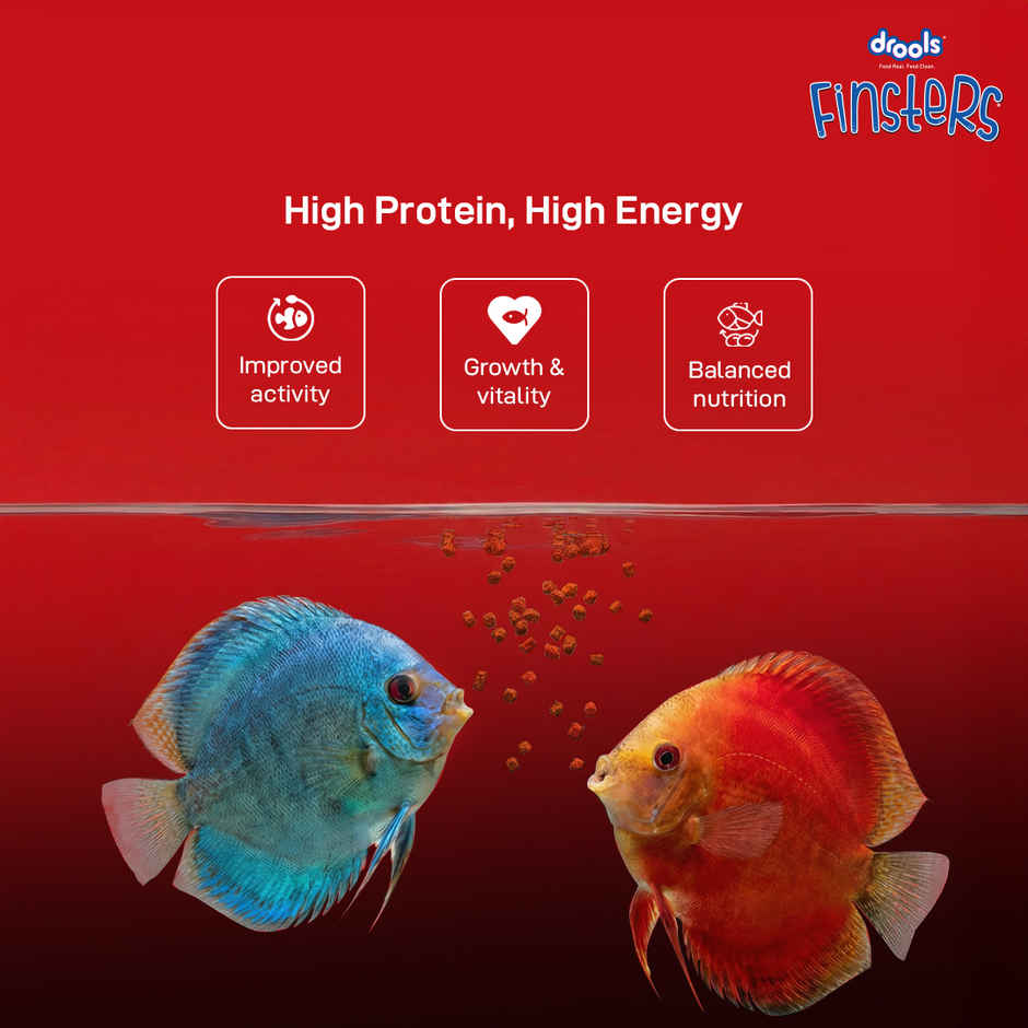 Drools Finsters Bits Fish Food