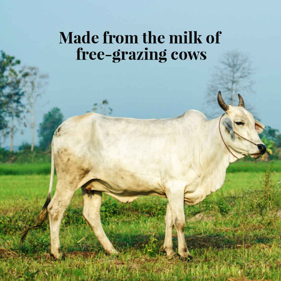 Himalayan Natives Organic Bilona Cow Ghee Jar