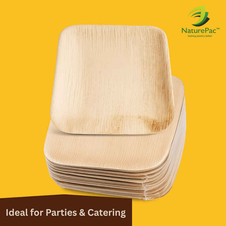Square Areca Plate | 8 inch | Disposable and Handy | Naturepac
