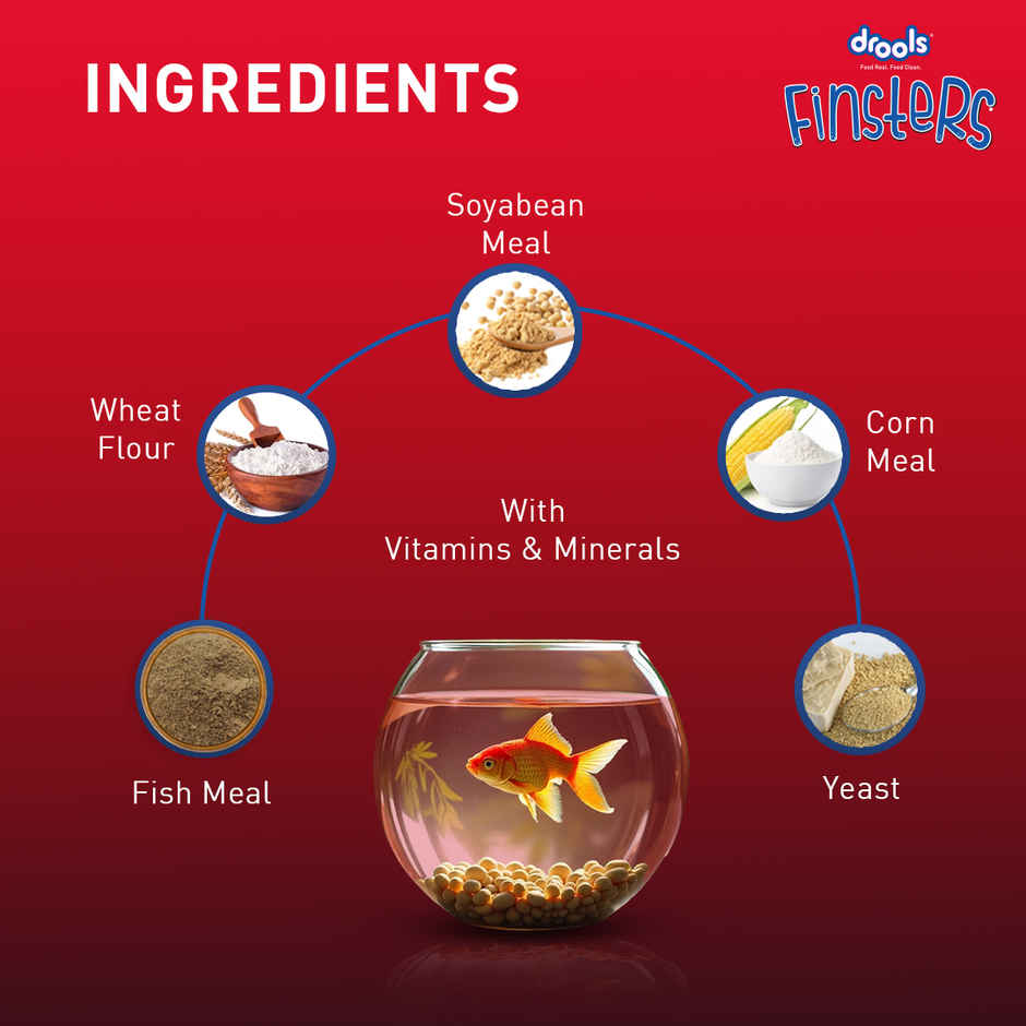 Drools Finsters Tropical Fish Food 1 mm