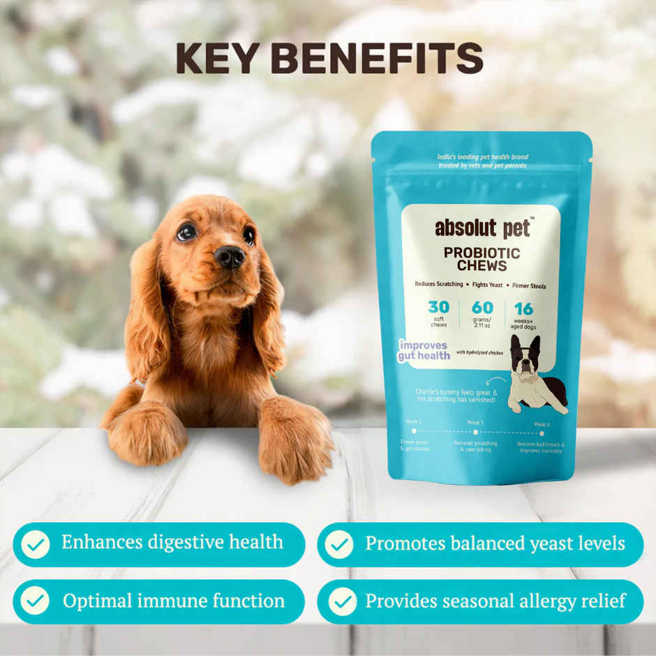 Absolut Pet Dog Supplement | Probiotics for Dogs Reduces Scratching and Paw Licking