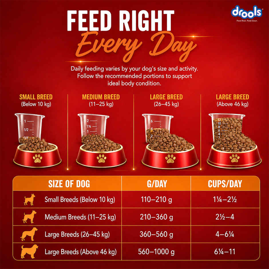 Drools Turkey and Pumpkin Adult Dry Dog Food 1 kg