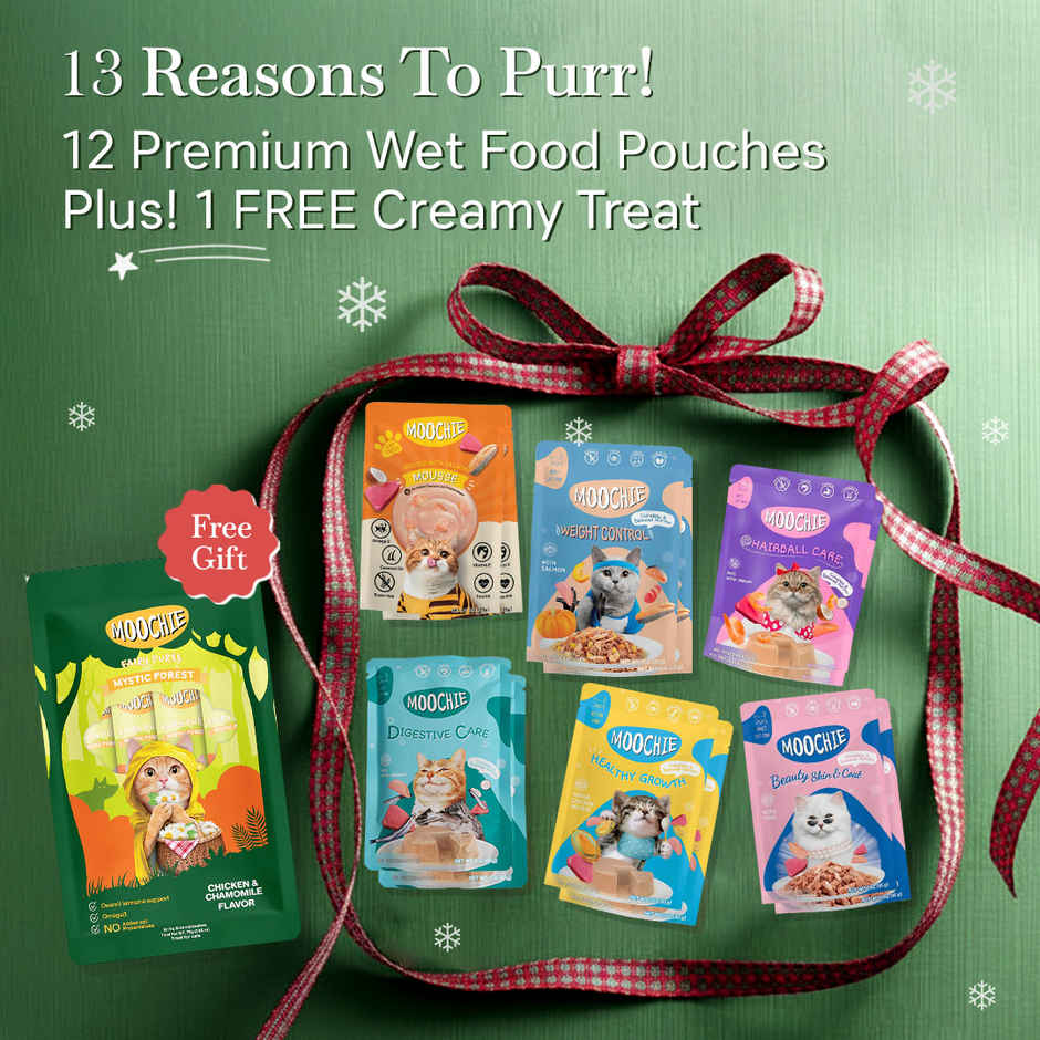 Moochie Cat Wet Food Christmas Hamper | 13 Pouches