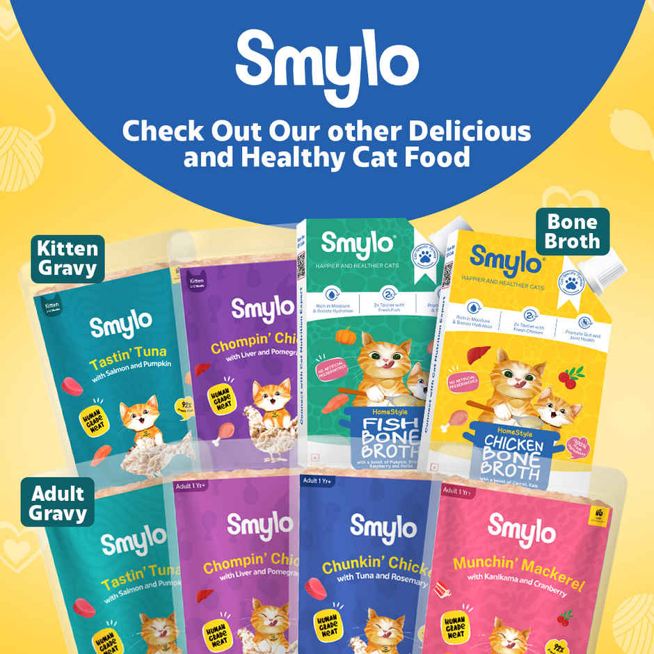 Smylo Kitten Wet Cat Food Variety Combo | Chicken & Tuna, Fresh and Preservative Free