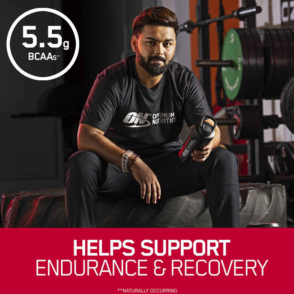 Optimum Nutrition (ON) Pure Whey Gold Standard Powder Vanilla Ice Cream1 lb