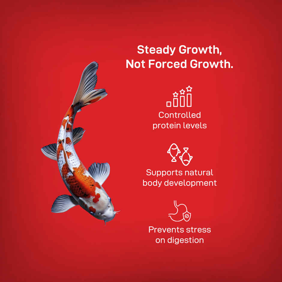 Drools Finsters Koi Fish Food Staple