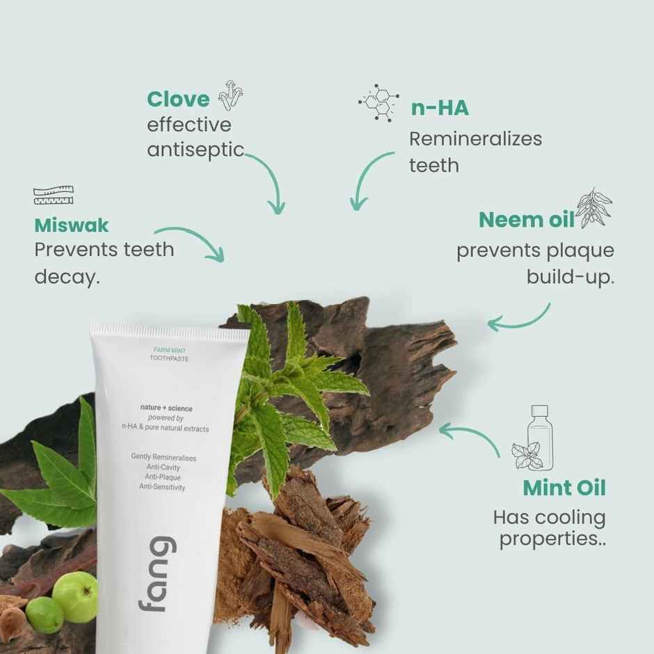 Fang Farm Mint Toothpaste