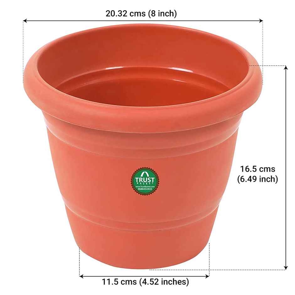 Cylindrical Plastic Plant Pot With Saucer | 8 inch | Brown