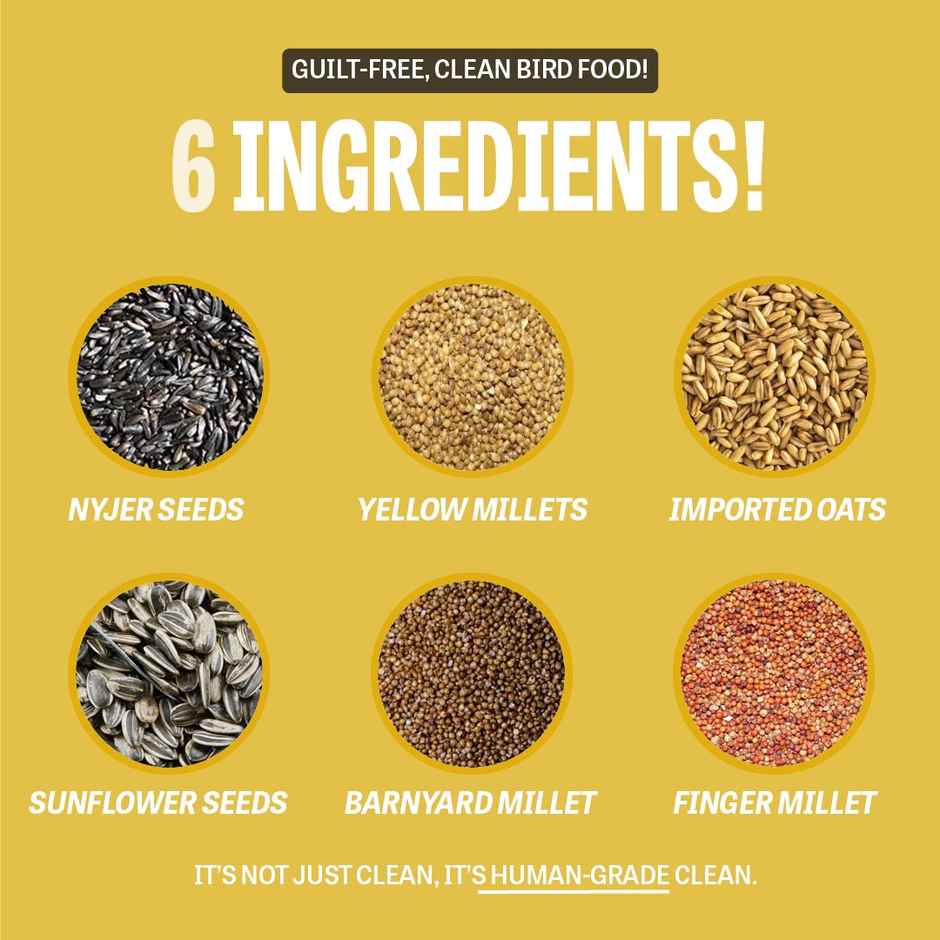 Petcrux Premium Mixed Seeds With 9 Grains & Nuts Blended For Budgies Doves, Parrots & Sparrows