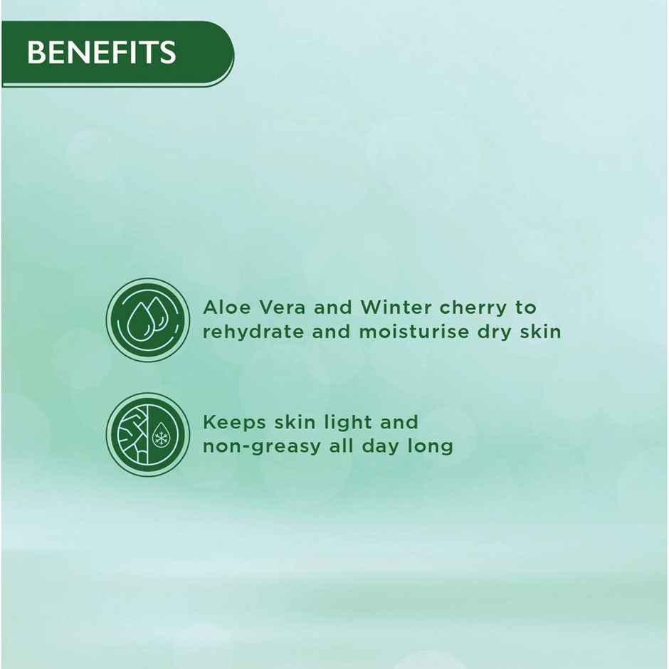 Himalaya Wellness Company Nourshing Skin Cream