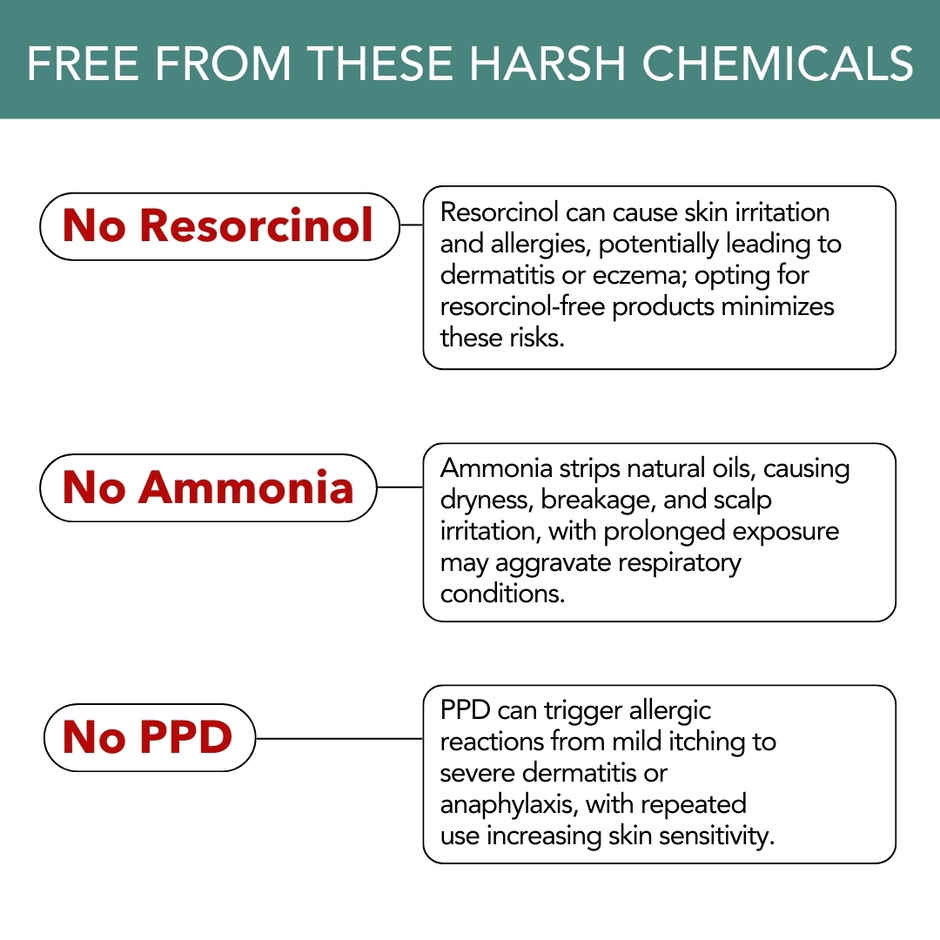 Paradyes Timeless Hair Tint Permanent Creme Hair Colour - Rich Burgundy