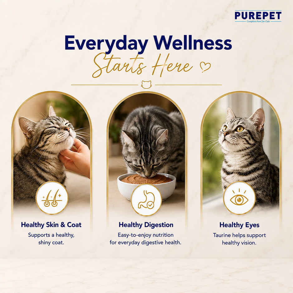 Purepet Real Chicken and Chicken Liver in Gravy,Wet cat food