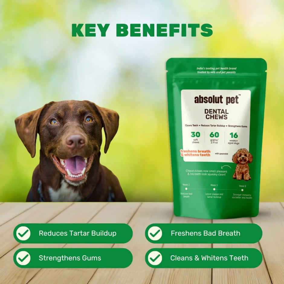Absolut Pet Dog Supplement Oral Care Dental Chews Reduces Plaque Tartar Freshens Breath