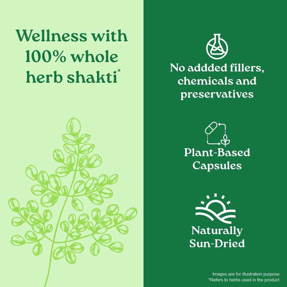 Organic India Moringa Capsule 60