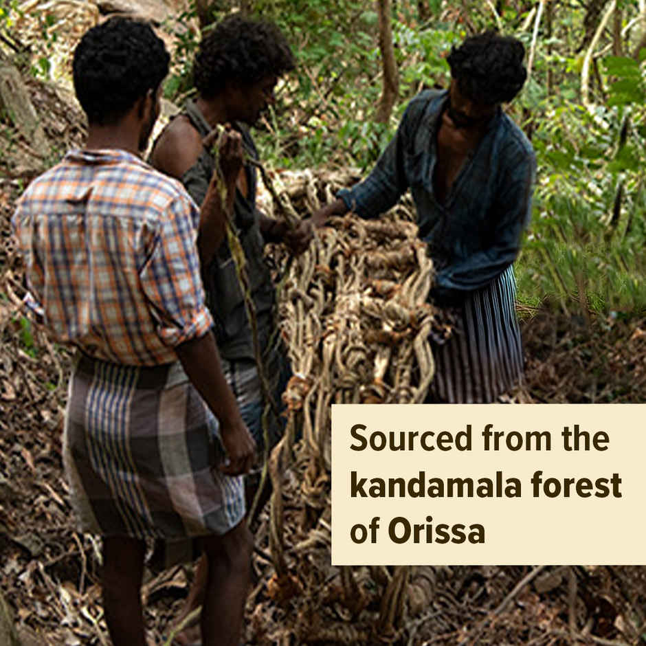 Conscious Food Wild Forest Honey - Natural & Pure