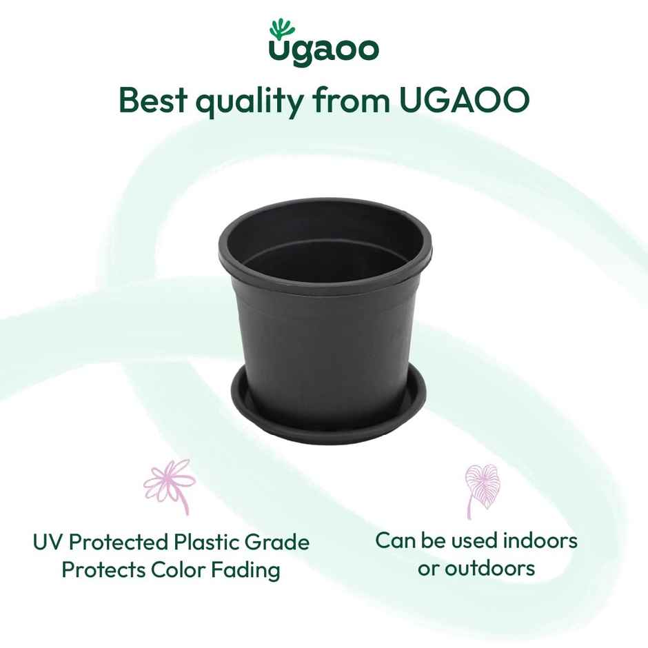 Ugaoo UV Treated Gardening Plastic Tray Plate | Saucer for Pots - 6 in | Black Color | Set of 6