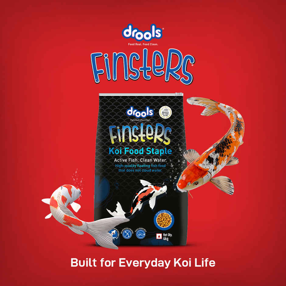 Drools Finsters Koi Fish Food Staple