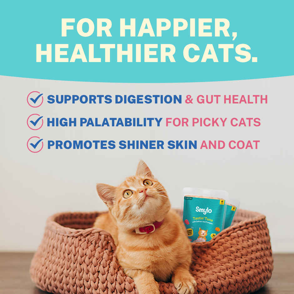 Smylo Adult Tuna & Salmon Wet Cat Food, Fresh & Preservative-Free