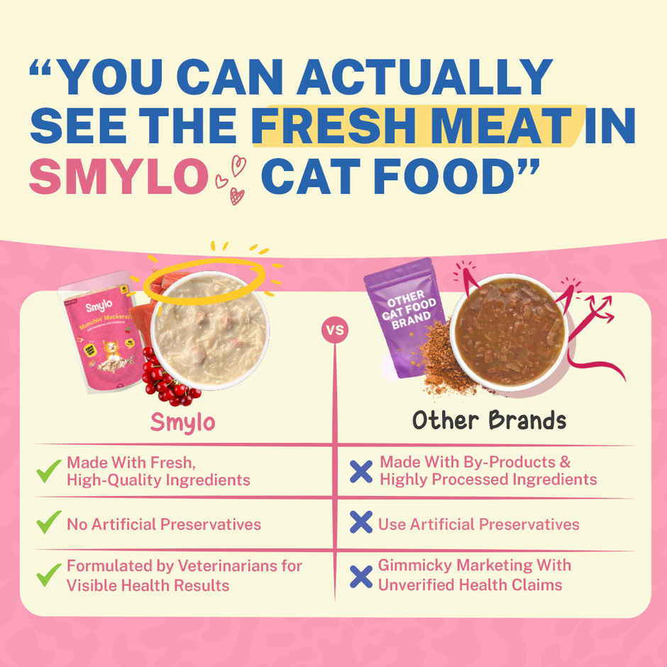 Smylo Adult Mackerel Wet Cat Food | Fresh & Preservative-free