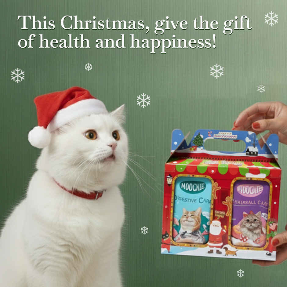 Moochie Cat Wet Food Christmas Hamper | 6 Assorted Flavours | Premium Variety Pack |Festive Gift Box