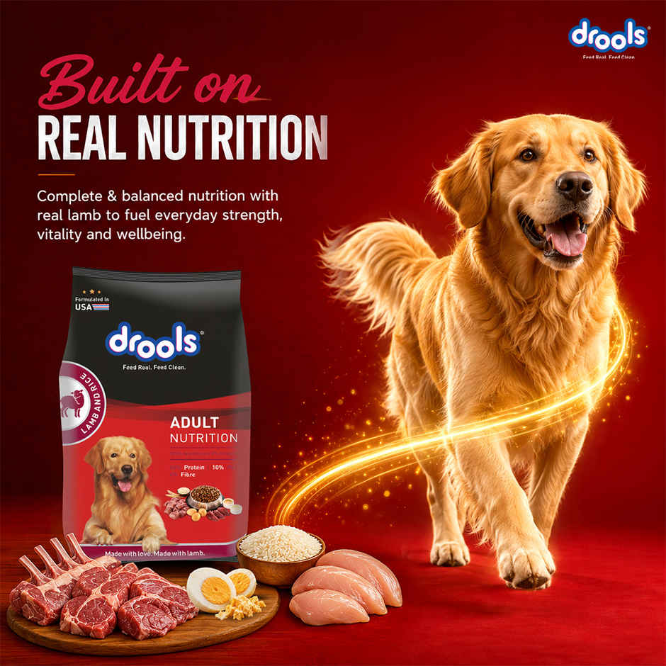 Drools Lamb and Rice Adult Dry Dog Food 1 kg